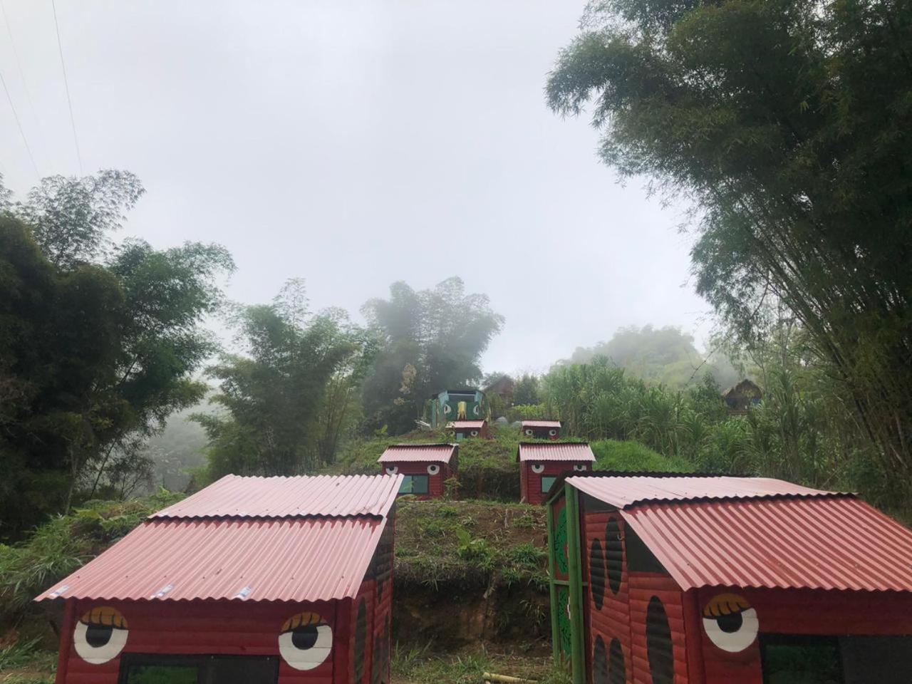 Miradores Del Oso Perezoso Minca Room photo