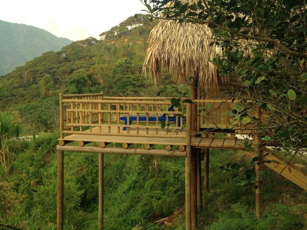 Miradores Del Oso Perezoso Minca Exterior photo